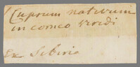 L 02733
<br/>
Label met opschrift
<br/>
<em></em>